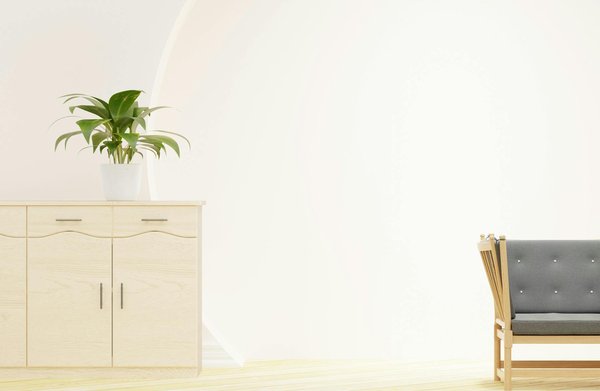 Les maisons écologiques du futur