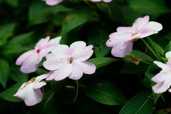 Comment préparer votre maison pour des travaux d'isolation